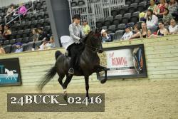 24BUCK_02416 thumbnail