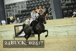 24BUCK_02417 thumbnail