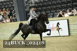 24BUCK_02418 thumbnail