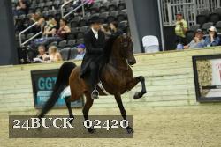24BUCK_02420 thumbnail