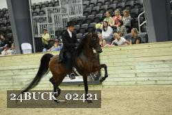 24BUCK_02421 thumbnail