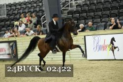 24BUCK_02422 thumbnail