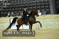 24BUCK_02423 thumbnail