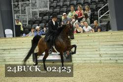 24BUCK_02425 thumbnail