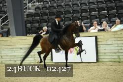 24BUCK_02427 thumbnail