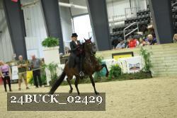 24BUCK_02429 thumbnail