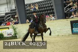 24BUCK_02430 thumbnail