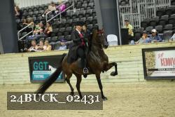 24BUCK_02431 thumbnail