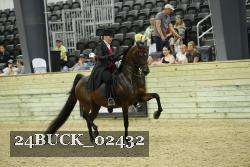 24BUCK_02432 thumbnail