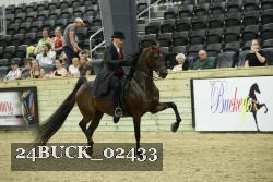 24BUCK_02433 thumbnail