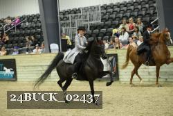 24BUCK_02437 thumbnail