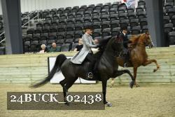24BUCK_02438 thumbnail