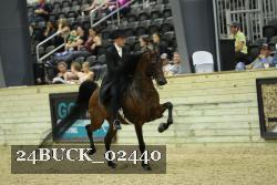 24BUCK_02440 thumbnail