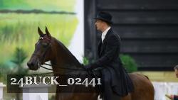 24BUCK_02441 thumbnail