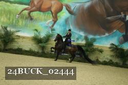 24BUCK_02444 thumbnail