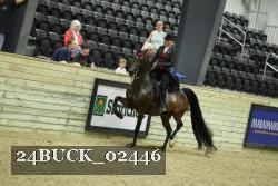 24BUCK_02446 thumbnail