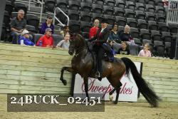 24BUCK_02451 thumbnail