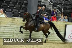 24BUCK_02452 thumbnail