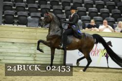 24BUCK_02453 thumbnail