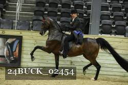 24BUCK_02454 thumbnail