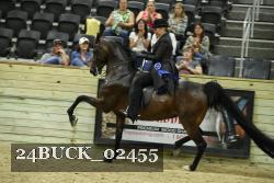 24BUCK_02455 thumbnail