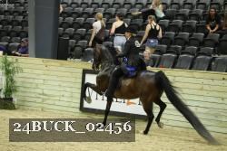 24BUCK_02456 thumbnail