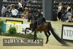 24BUCK_02457 thumbnail