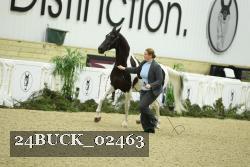 24BUCK_02463 thumbnail