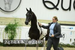24BUCK_02467 thumbnail