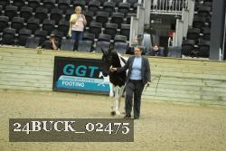 24BUCK_02475 thumbnail