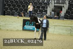24BUCK_02476 thumbnail