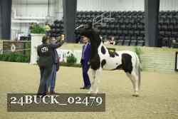 24BUCK_02479 thumbnail