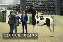 24BUCK_02480 thumbnail