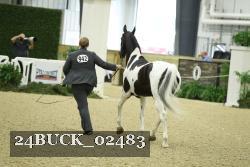 24BUCK_02483 thumbnail