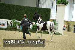 24BUCK_02484 thumbnail