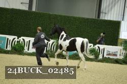 24BUCK_02485 thumbnail