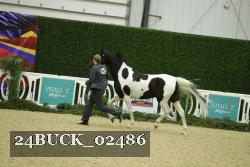 24BUCK_02486 thumbnail