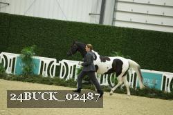 24BUCK_02487 thumbnail