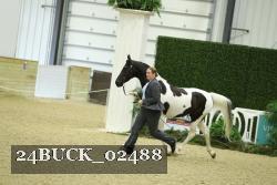 24BUCK_02488 thumbnail