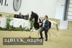 24BUCK_02489 thumbnail