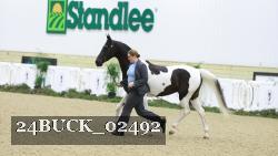 24BUCK_02492 thumbnail