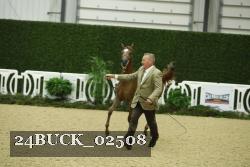24BUCK_02508 thumbnail