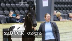 24BUCK_02512 thumbnail