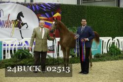 24BUCK_02513 thumbnail