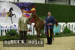 24BUCK_02514 thumbnail
