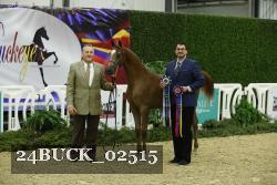 24BUCK_02515 thumbnail