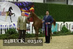 24BUCK_02516 thumbnail