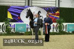 24BUCK_02519 thumbnail