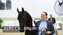 24BUCK_02520 thumbnail
