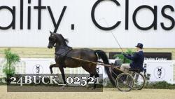 24BUCK_02521 thumbnail